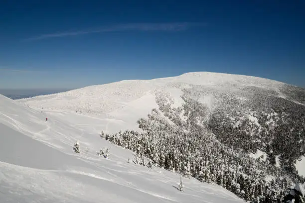 things to do in bozeman
