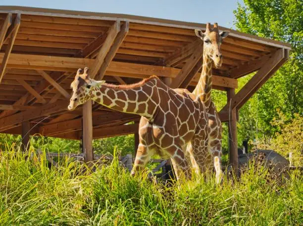 things to do in omaha