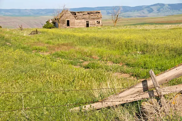 things to do in boise