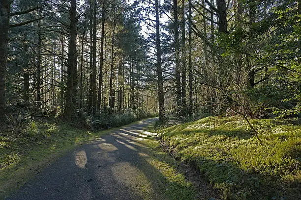 fun things to do in astoria