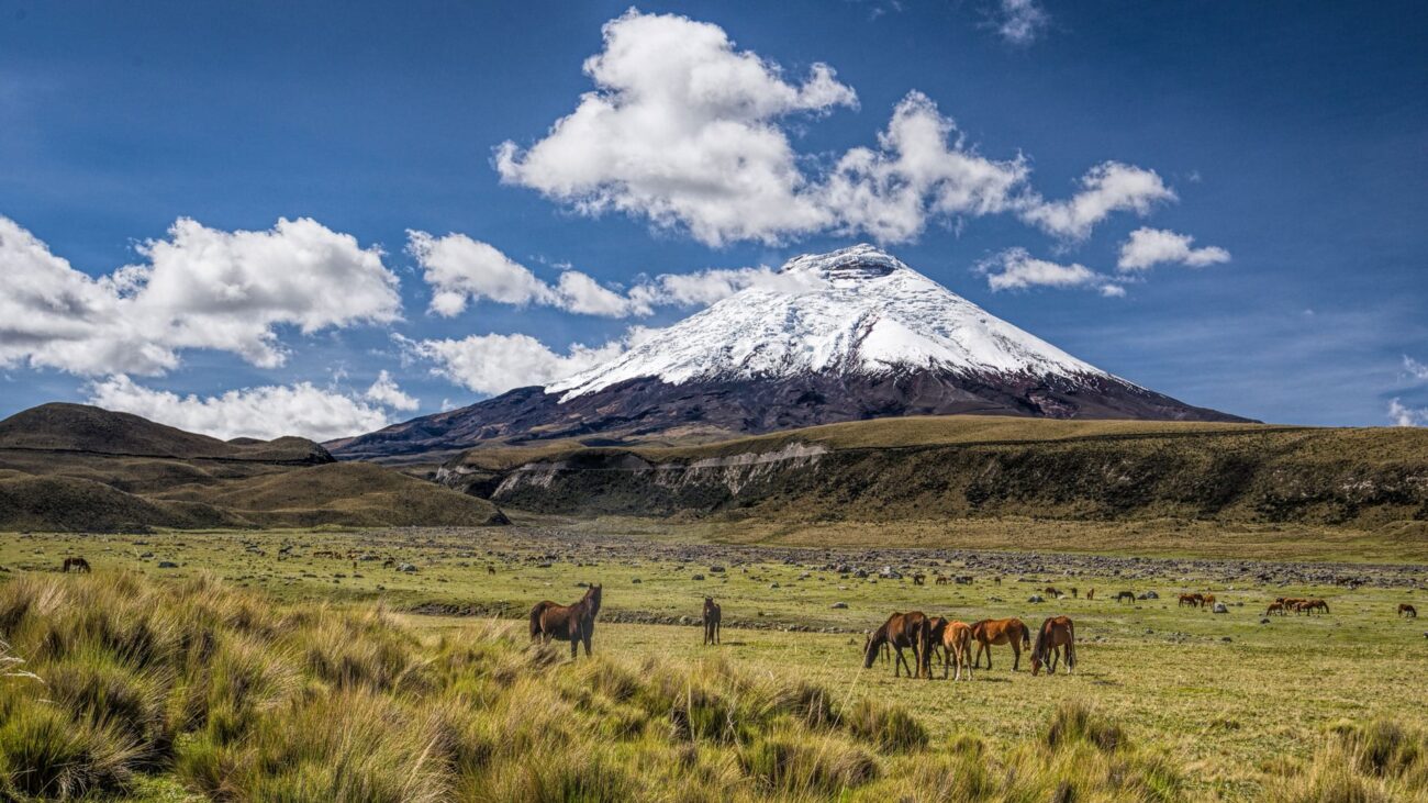 best things to do in quito