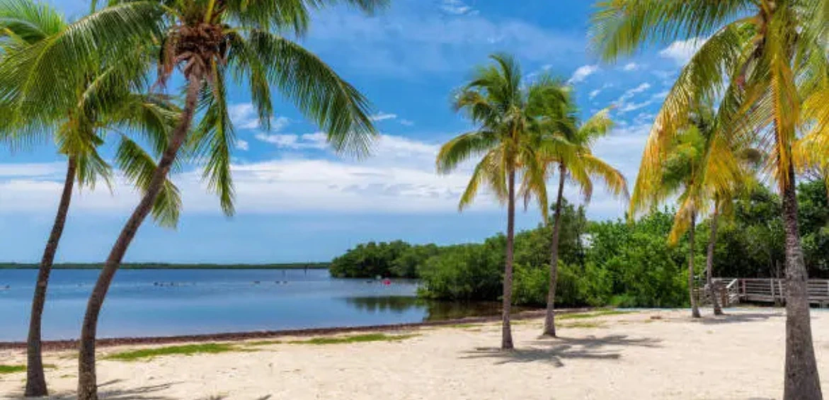 things to do in key largo