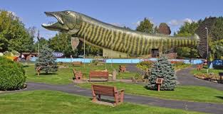 fun things to do in hayward wi
