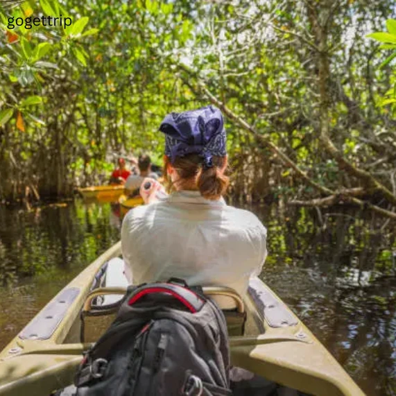 things to do in key largo