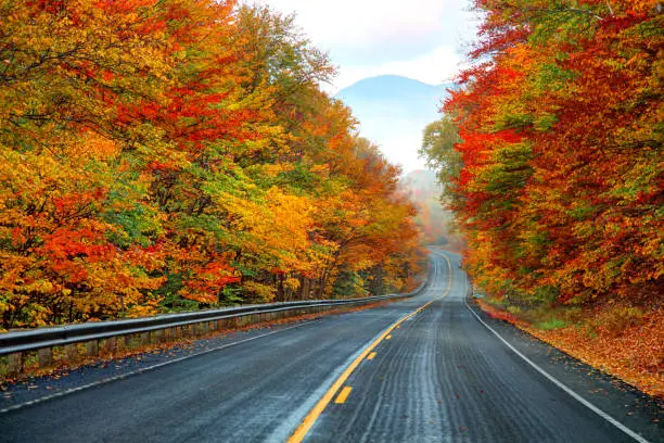  fun things to do in north conway nh