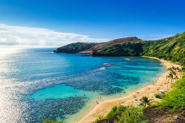 best things o do in honolulu