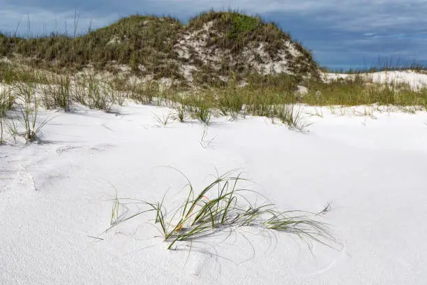 things to do in fort walton beach