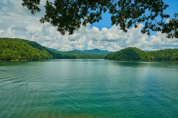 fun things to do in murphy nc