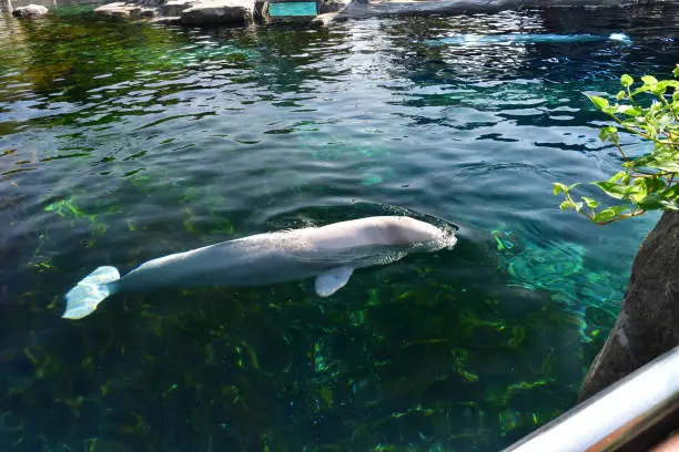 fun things to do in fort walton beach