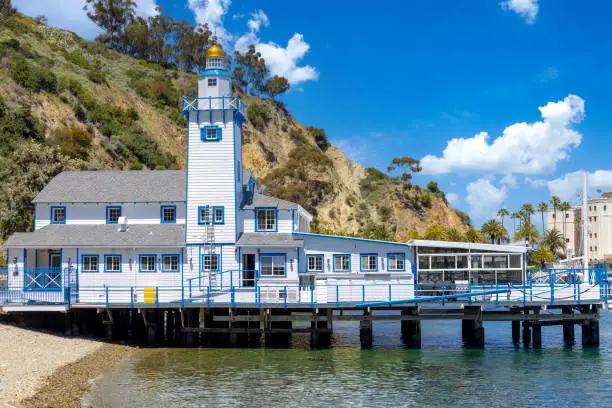 fun things to do in catalina island
