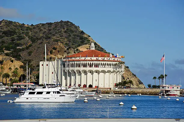 fun things to do in catalina island