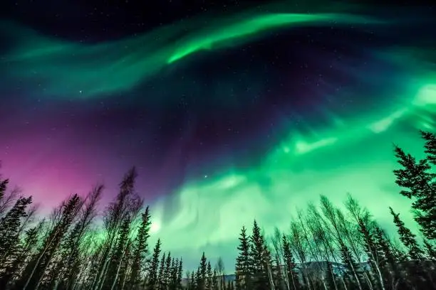 things to do in fairbanks alaska