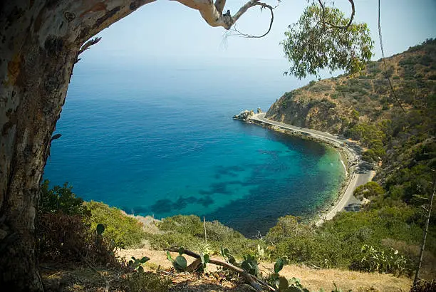 things to do in catalina island
