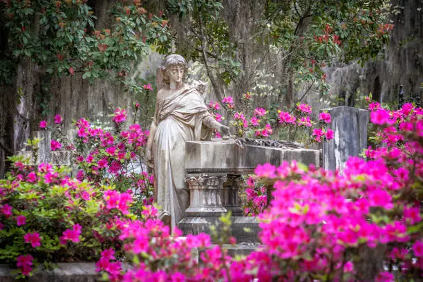 best things to do in savannah