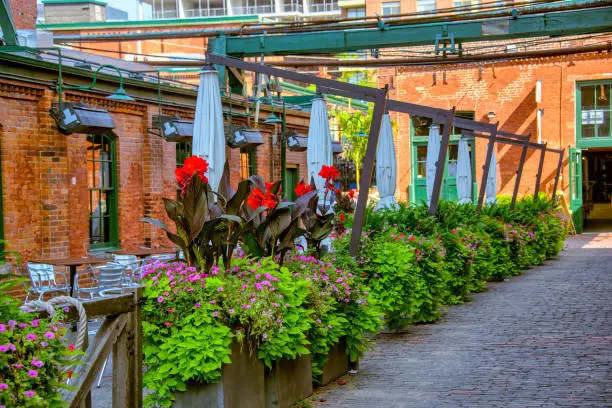 best things to do in toronto
