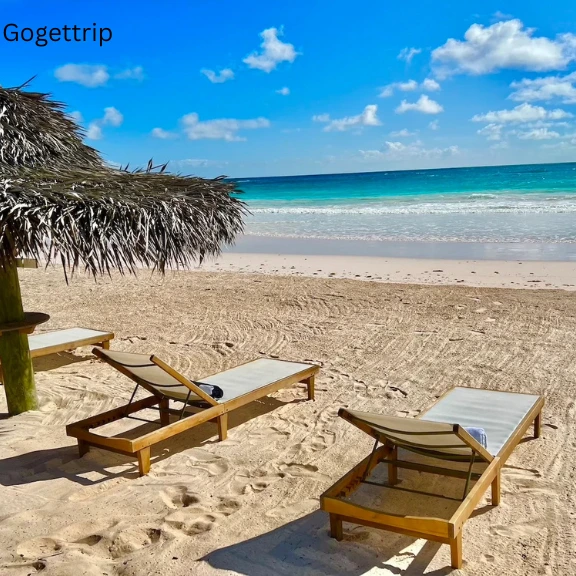 getyourguide bahamas